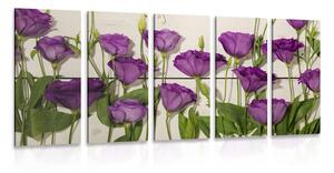 5-dielny obraz nádherné fialové kvety