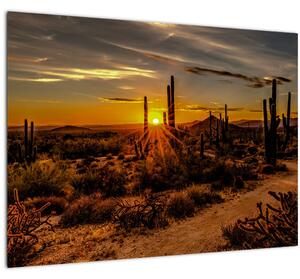 Obraz - Koniec dňa v arizonskej púšti (70x50 cm)