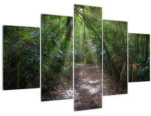 Obraz - Slnečné lúče v džungli (150x105 cm)