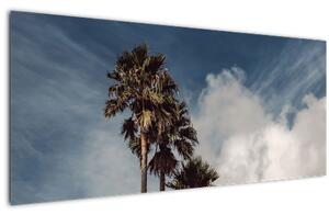 Obraz - Palmová dráma (120x50 cm)