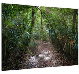 Obraz - Slnečné lúče v džungli (70x50 cm)