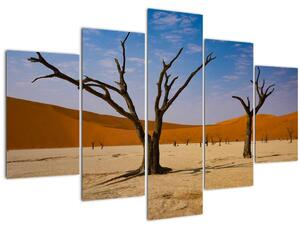 Obraz - Údolie smrti (150x105 cm)