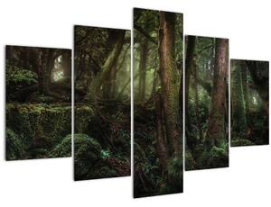 Obraz - Tajomný les (150x105 cm)