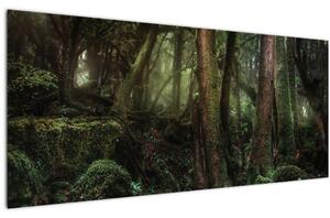 Obraz - Tajomný les (120x50 cm)