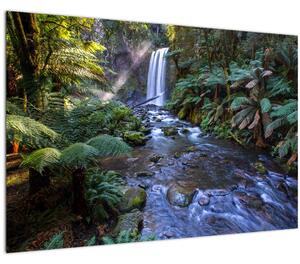 Obraz australského dažďového lesa (90x60 cm)