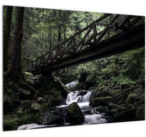 Obraz z čierneho lesa (70x50 cm)