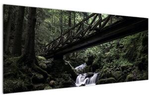 Obraz z čierneho lesa (120x50 cm)