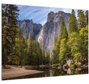 Obraz - Pod Yosemite skalou (70x50 cm)