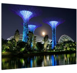 Obraz splnu v Singapurských záhradách (70x50 cm)