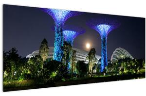 Obraz splnu v Singapurských záhradách (120x50 cm)