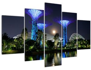 Obraz splnu v Singapurských záhradách (150x105 cm)
