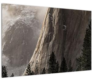 Obraz z údolia Yosemite národnej parku, USA (90x60 cm)