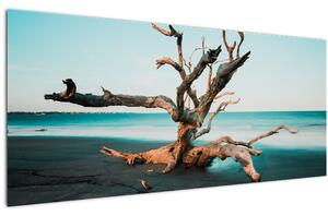 Obraz - Vyplavenie na pláži (120x50 cm)
