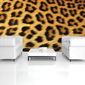 Fototapeta - Leopardia srsť (152,5x104 cm)