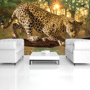 Fototapeta - Jaguar Forest Woods (152,5x104 cm)