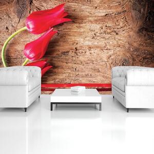 Fototapeta - Tulipán, drevo, stuha (152,5x104 cm)