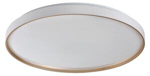 Rabalux 71454 - Stmievateľné LED stropné svietidlo ZERAVA LED/80W/230V 3000-6500K priemer 77 cm + diaľkové ovládanie