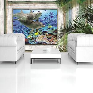 Fototapeta - Delfíny a ryby pod morom (152,5x104 cm)