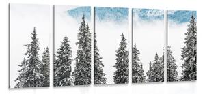 5-dielny obraz zasnežené borovicové stromy