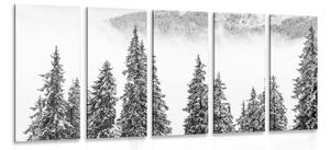 5-dielny obraz zasnežené borovicové stromy v čiernobielom prevedení