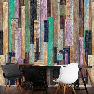 Fototapeta - Farebné drevené dosky (254x184 cm)