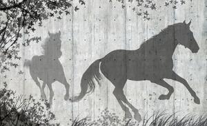 Fototapeta - Tiene koní na šedej stene (254x184 cm)