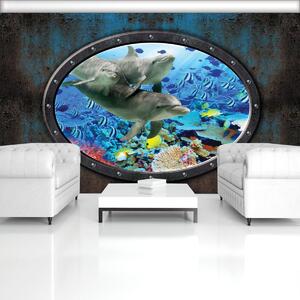 Fototapeta - Delfíny v akváriu (152,5x104 cm)