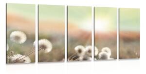 5-dielny obraz panoráma kvitnúcej lúky