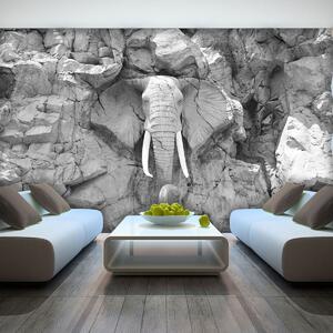 Fototapeta - Slon vytesaný v skalách - sivý (152,5x104 cm)