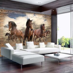 Fototapeta - Cval koňa na drevených doskách (152,5x104 cm)