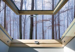 Fototapeta - Pohľad z okna na hmlisté lesy (152,5x104 cm)