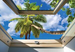 Fototapeta - Pohľad z okna na palmu (152,5x104 cm)