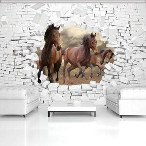 Fototapeta - 3D kone v stene (254x184 cm)