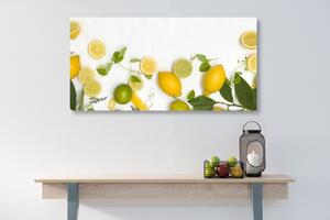 Obraz mix citrusových plodov