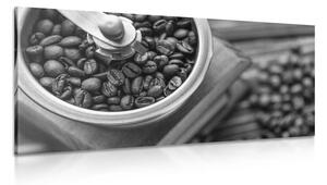 Obraz vintage mlynček na kávu v čiernobielom prevedení