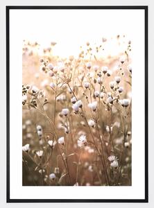 Boho plagát s fotografiou lúčnych kvetov