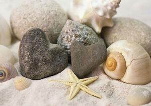 Fototapeta - Kamene a mušle na pláži (152,5x104 cm)