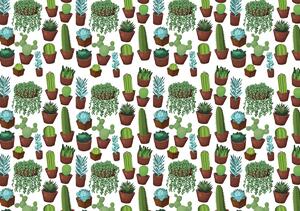 Fototapeta - Kaktus (254x184 cm)