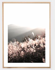 Boho plagát s fotografiou západu slnka v prírode