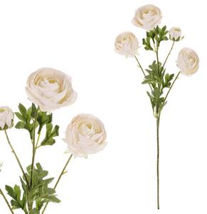 PIVONKA 70 cm - Kvety & kvetináče