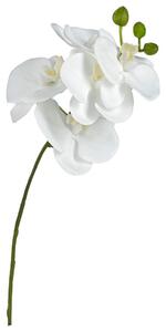 UMELÝ KVET orchidea 37 cm - Kvetinové dekorácie