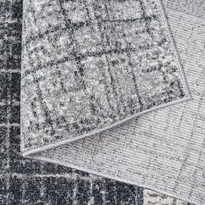 Univerzálny moderný koberec sivej farby Sivá Šírka: 200 cm | Dĺžka: 290 cm