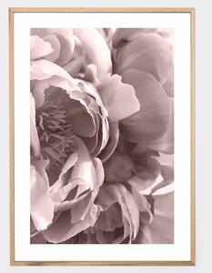 Boho plagát s fotografiou kvetu pivonky