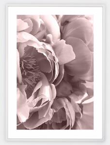 Boho plagát s fotografiou kvetu pivonky
