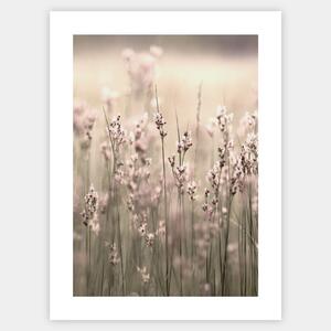 Boho plagát s fotografiou kvitnucej trávy