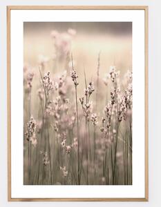 Boho plagát s fotografiou kvitnucej trávy