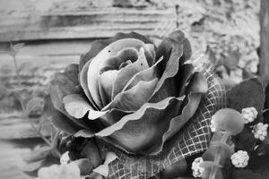 Obraz vintage ruža v čiernobielom prevedení - 60x40