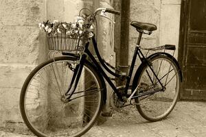 Obraz rustikálny bicykel v sépiovom prevedení