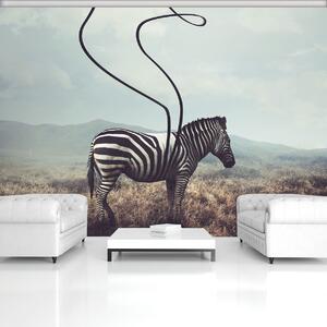 Fototapeta - Zebra (152,5x104 cm)