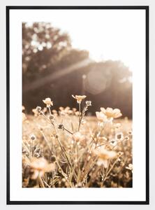 Boho plagát s fotografiou lúčnych kvetov pri západe slnka